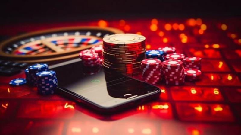 Experience Thrills and Rewards at WildRobin Casino