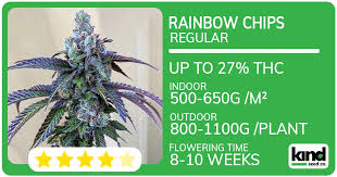 The Essential Guide to Cannabis Seeds Georgia